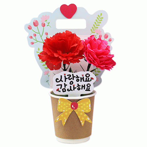 어버이날 편지 카네이션화분(4인용)