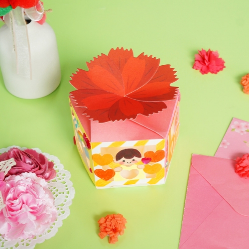 카네이션 무드박스 5set