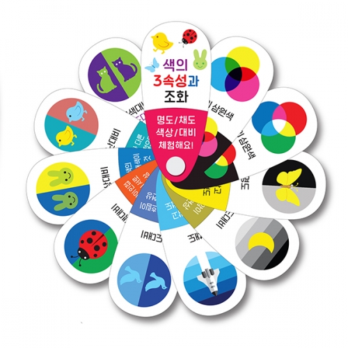 색의 3속성과 조화 5개입 세트