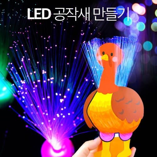 차이의 놀이 빛나는 LED 공작새 만들기 (LED 광섬유 램프)