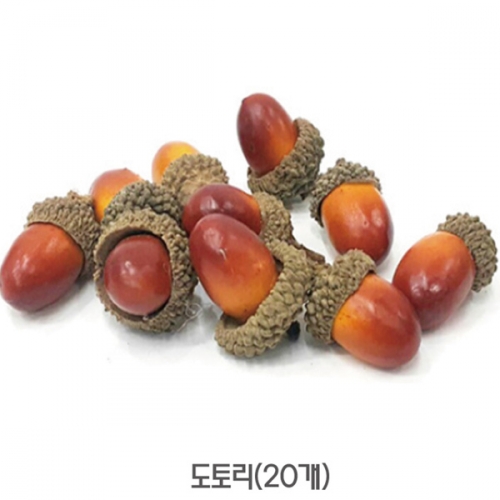 도토리(20개)