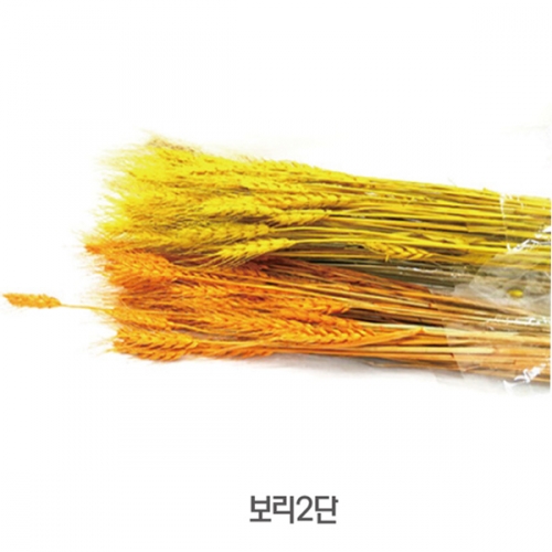 보리2단