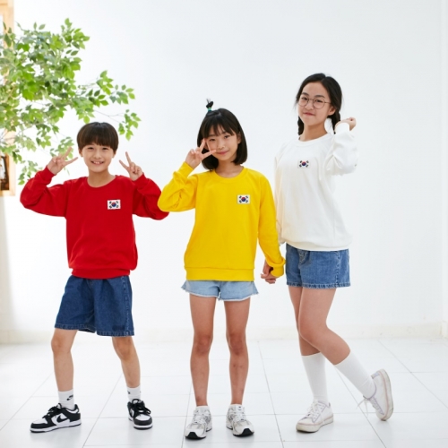 국내산 고급 특양면 맨투맨 아트 티셔츠 긴팔 _ 대한민국 태극기 와펜 자수 맨투맨 (아동/성인)