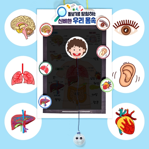[탑키드] 북아트 돋보기로 탐험하는 우리 몸속