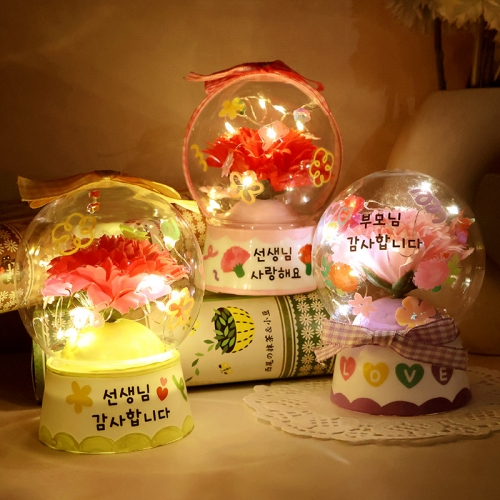 LED 카네이션 스노우볼 5set