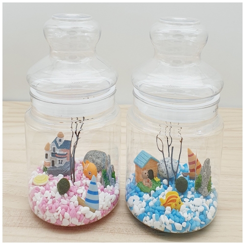반려식물마리모키우기DIY(홈가드닝)1인