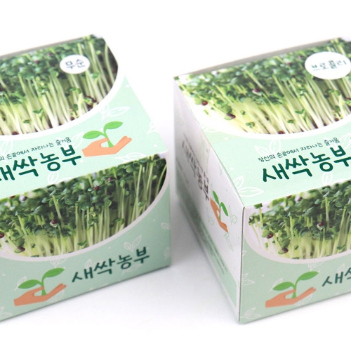 새싹농부 무순 브로콜리 새싹기르기(6개)