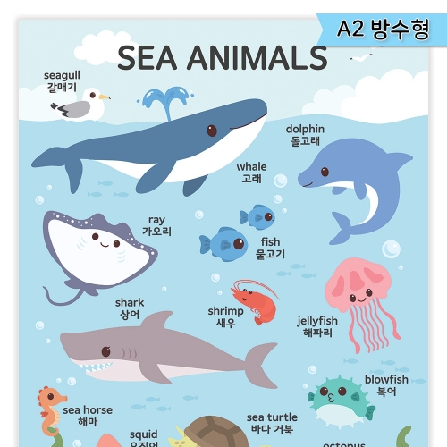 [우아띵] 바다동물 벽보 학습 과학 자연관찰 해양생물 고래