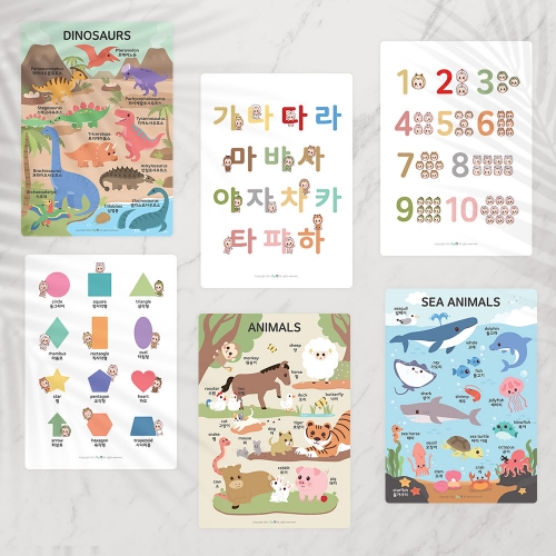 [우아띵] 바다동물 벽보 학습 과학 자연관찰 해양생물 고래