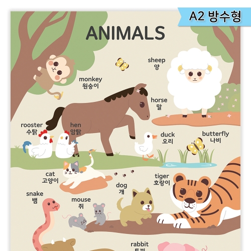 [우아띵] 동물 벽보 학습 과학 자연관찰 토끼 호랑이