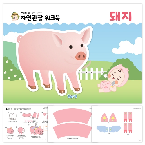 [우아띵] 돼지 자연관찰 워크북