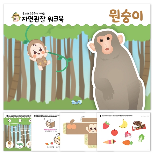 [우아띵] 원숭이 자연관찰 워크북