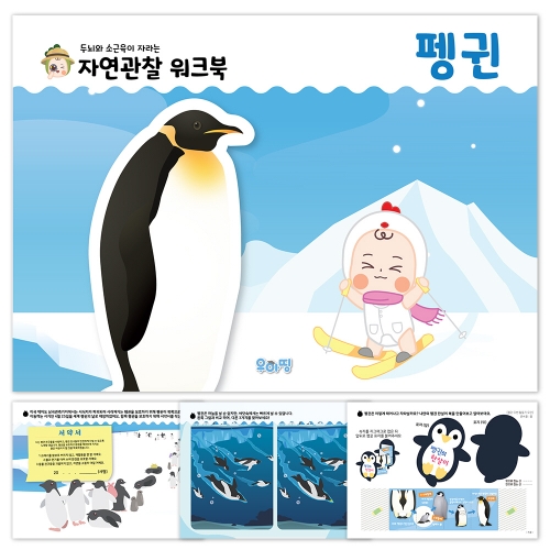 [우아띵] 펭귄 자연관찰 워크북