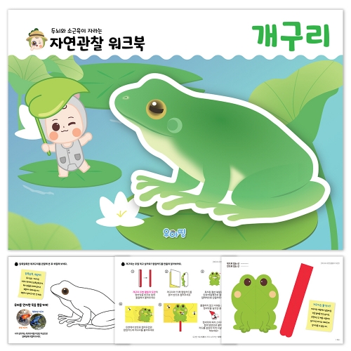 [우아띵] 개구리 자연관찰 워크북