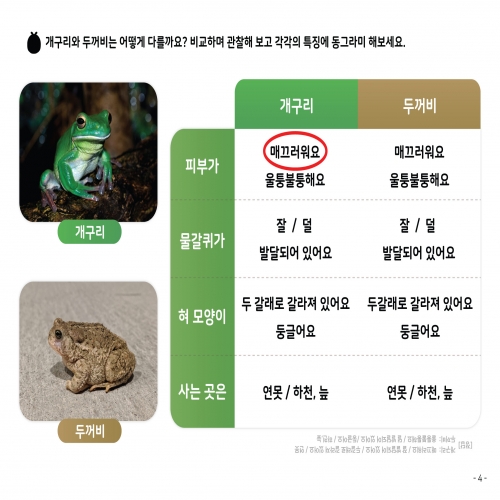 [우아띵] 개구리 자연관찰 워크북