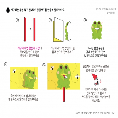 [우아띵] 개구리 자연관찰 워크북