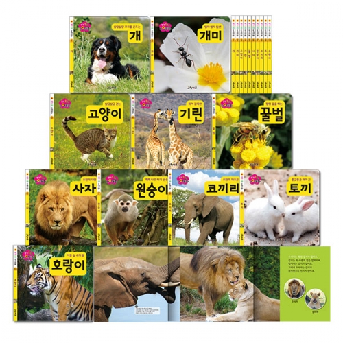 [그린키즈] 생각콩콩 자연동화 (보드북 전 10권)