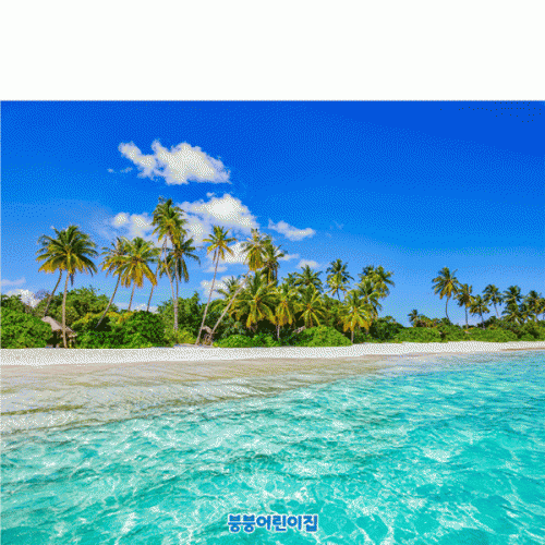 [파티붕붕]D4821 해변 현수막 / 유치원 여름 바다 현수막 어린이집 비치파라솔 포토존