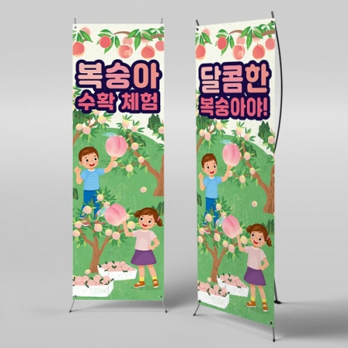 [파티붕붕]X배너 3254 / 복숭아 체험 배너 어린이집 유치원 체험학습 현수막