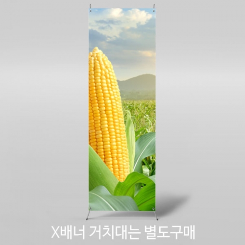 [파티붕붕]X배너 3056 / 어린이집 유치원 여름 텃밭 옥수수 배경 배너 제작