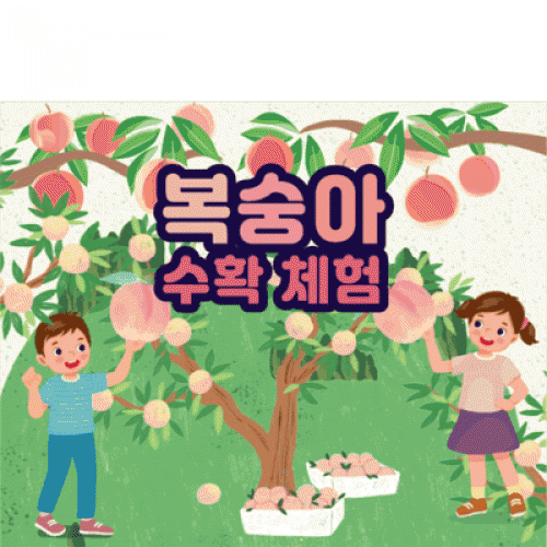 [파티붕붕]D3254 현수막 / 복숭아 체험 현수막 어린이집 유치원 체험학습 플랜카드