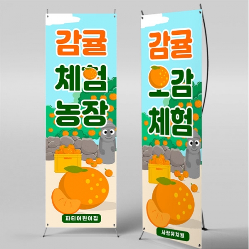 [파티붕붕] X배너 5230 / 유치원 감귤 오감체험 배너 어린이집 한라봉 천혜향 포토존