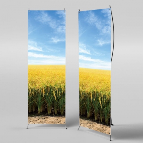 [파티붕붕] X배너 3407 / 들녁 들판 벼 배너 가을 배경 포토존 제작