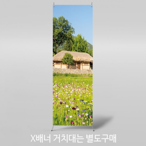 [파티붕붕] X배너 3405 / 가을 배경 배너 황금 들판 들녁 벼 풍경 포토존 제작