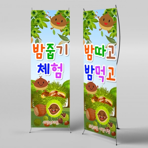 [파티붕붕] X배너 3178 / 가을 밤나무 밤줍기 현수막 유치원 어린이집 가을 행사 배너