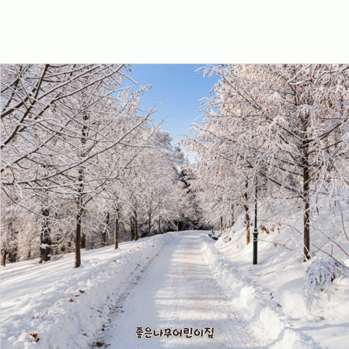 [파티붕붕]D5380 겨울 현수막 / 어린이집 유치원 눈 들판 설산 포토존 제작