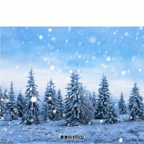 [파티붕붕]D5351 겨울배경 현수막 / 어린이집 트리 나무 현수막 유치원 겨울 실사 포토존