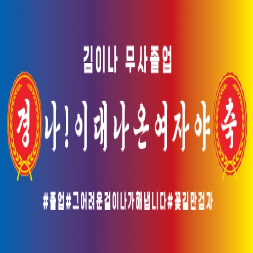 [파티붕붕] D1612 현수막 / 졸업 현수막 문구 초등학교 중학교 비대면 졸업식 포토존 플랜카드 제작