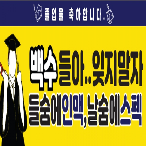 [파티붕붕] D1333 가로특 현수막 / 졸업 현수막 배너 플랜카드 제작 졸업식 포토존 꾸미기 홈 파티