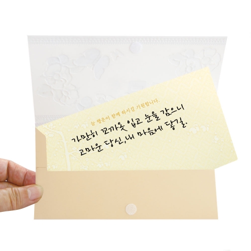 [7FB223] 비밀 용돈봉투 (6종 1세트)