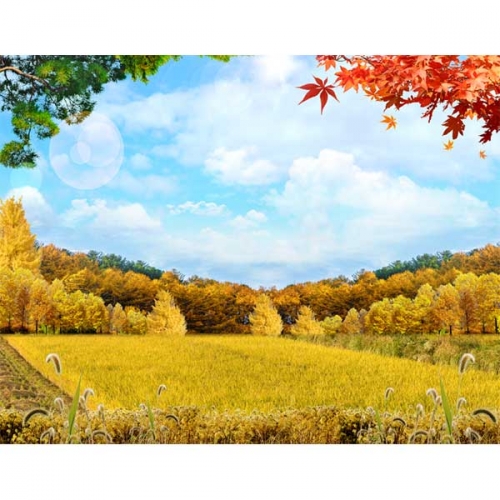 [키즈파람] 가을현수막093