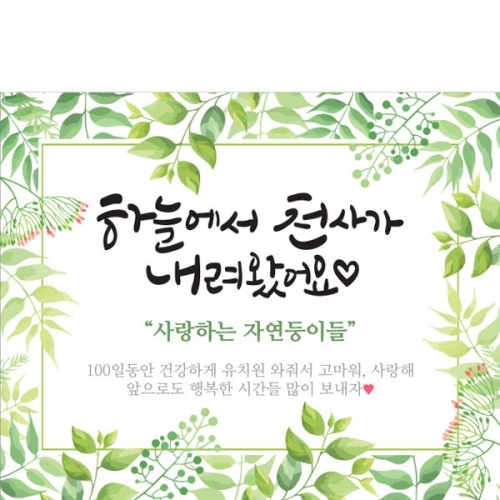 [파티붕붕]	D1522 돌 현수막 / 어린이집 유치원 입학 백일 현수막 초등학교 100일 잔치