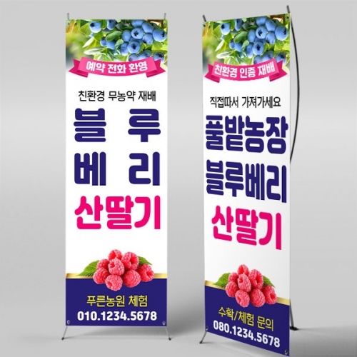 [파티붕붕] X배너 5802 / 블루베리 산딸기 배너 과일 판매 체험 현수막 제작