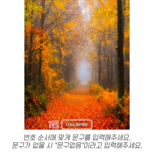 [파티붕붕] D6320 현수막 / 어린이집 단풍나무 현수막 유치원 가을 배경 포토존 제작