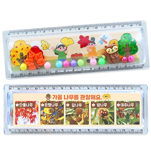 가을나무 관찰 투명자(4인용)