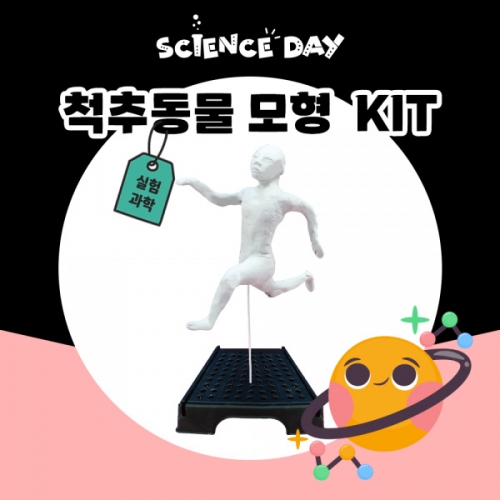 [사이언스데이] 척추동물모형 (5인용)