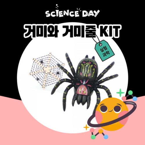 [사이언스데이] 거미와 거미줄 (5인용)