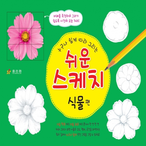 쉬운 스케치-식물 편