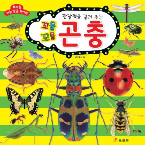 꼬물꼬물 곤충