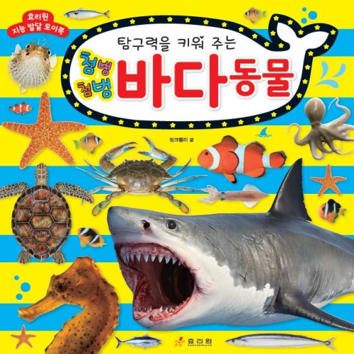 첨벙첨벙 바다 동물