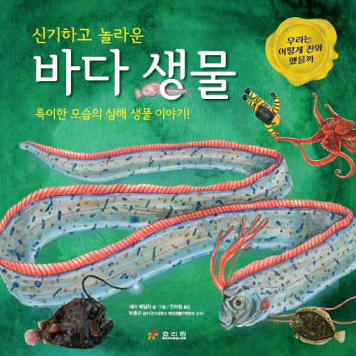 신기하고 놀라운 바다 생물