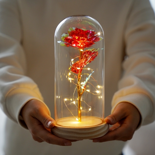 LED 꽃 유리돔 입학 졸업식 선물