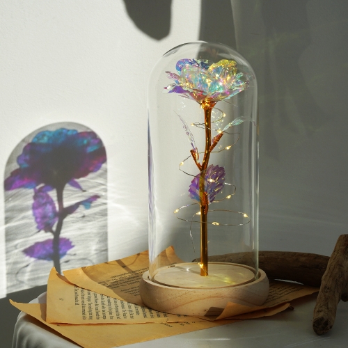 LED 꽃 유리돔 입학 졸업식 선물