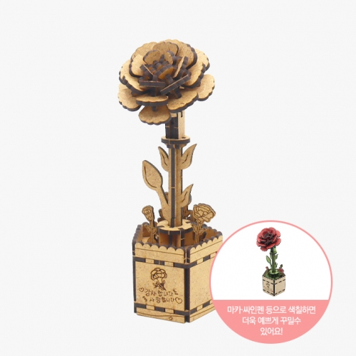 모또 나무 카네이션