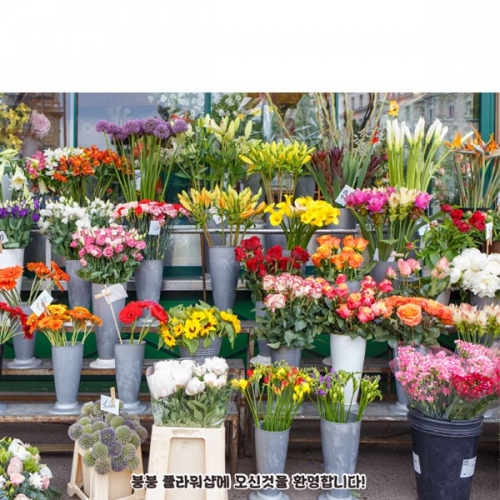 [파티붕붕] D4412 역할놀이 현수막 / 어린이집 유치원 꽃가게 꽃집 배경 현수막 제작