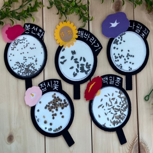 씨앗돋보기